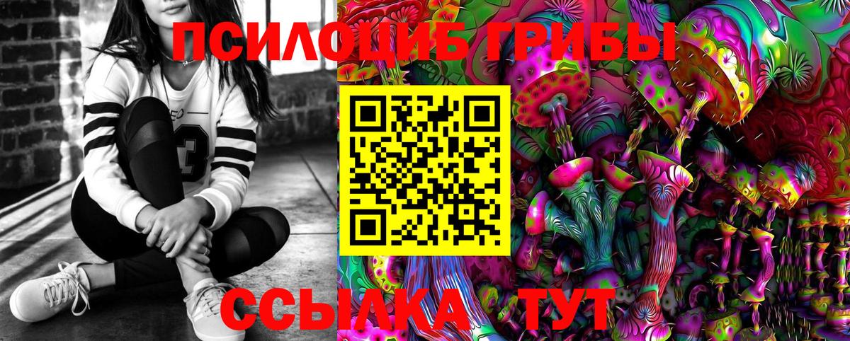 Усолье-Сибирское  Галлюциногенные грибы Psilocybine cubensis  Вход с VPN  Псилоцибиновые грибы Cubensis 